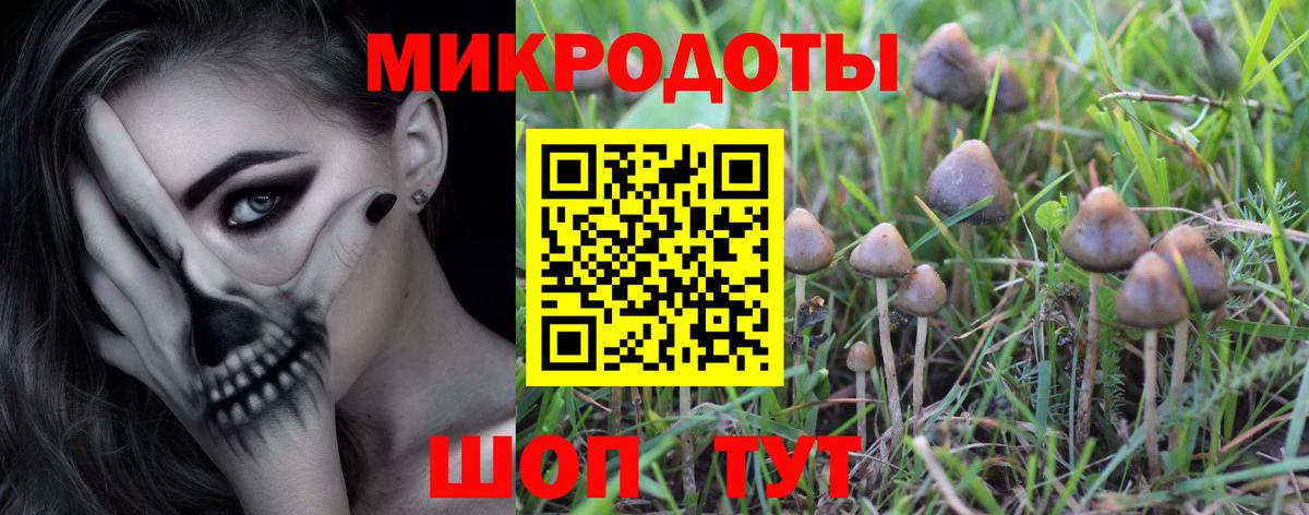 Псилоцибиновые грибы мицелий  Вход с VPN  купить  цена  Каменск-Шахтинский 