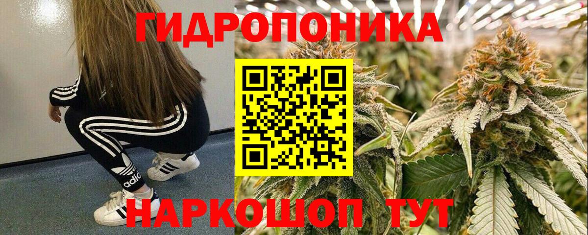 Марихуана ГИДРОПОН Каменск-Шахтинский